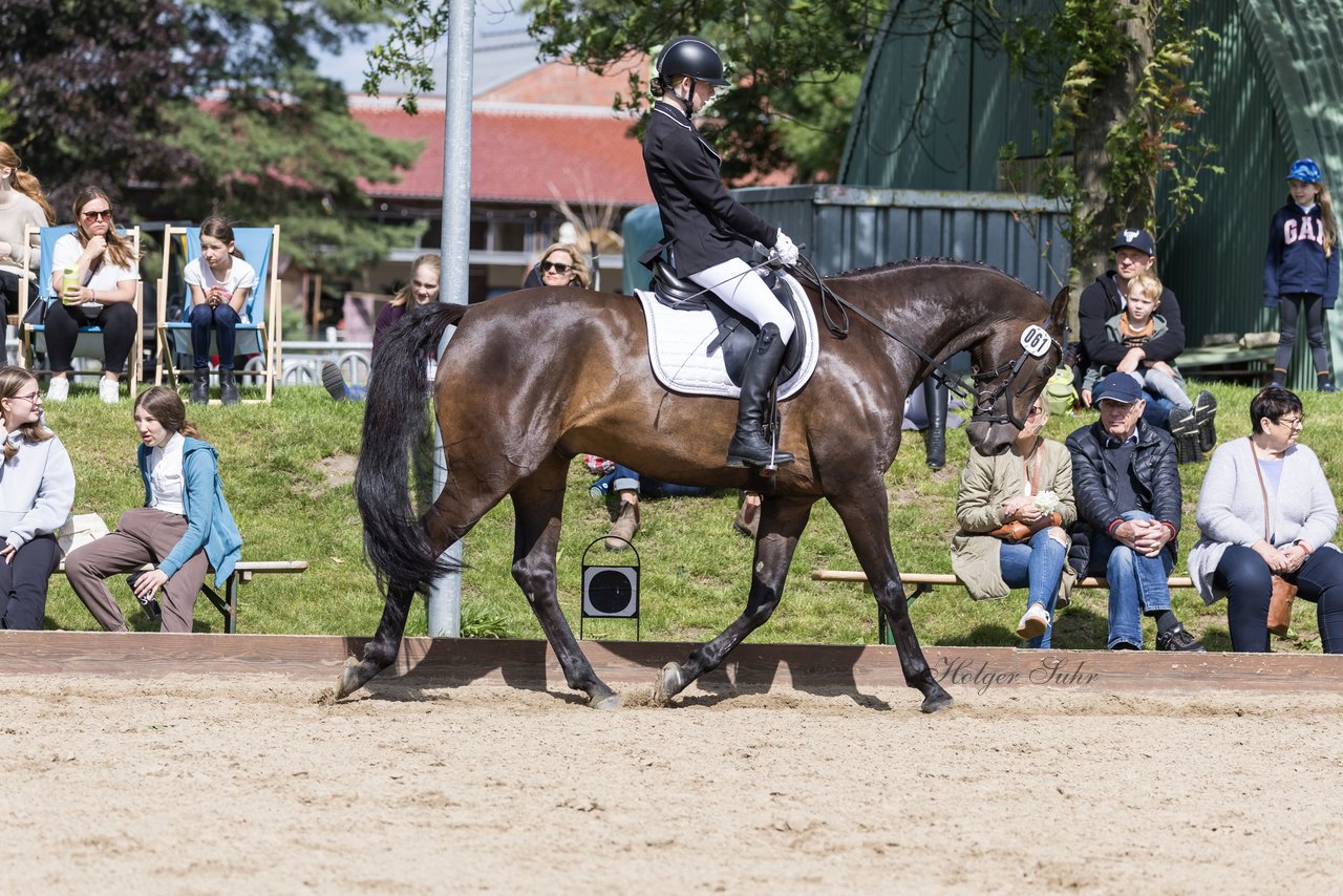 Bild 695 - Pony Akademie Turnier